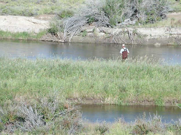 New Fork Fisherman. Photo by Pinedale Online.