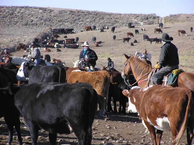 The cutting grounds. Photo by Pinedale Online.