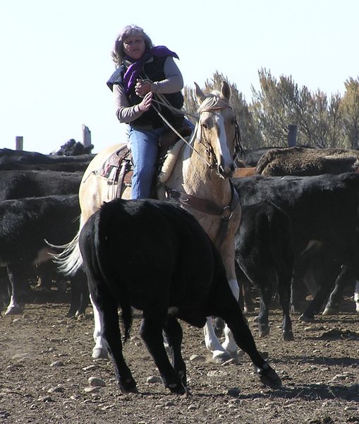 Julie Early gets him turned. Photo by Pinedale Online.