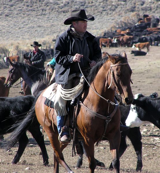 Phil Selby of Rendezvous Ranch. Photo by Pinedale Online.