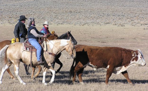 Solon, Julie and Nicole make it three to one. Photo by Pinedale Online.