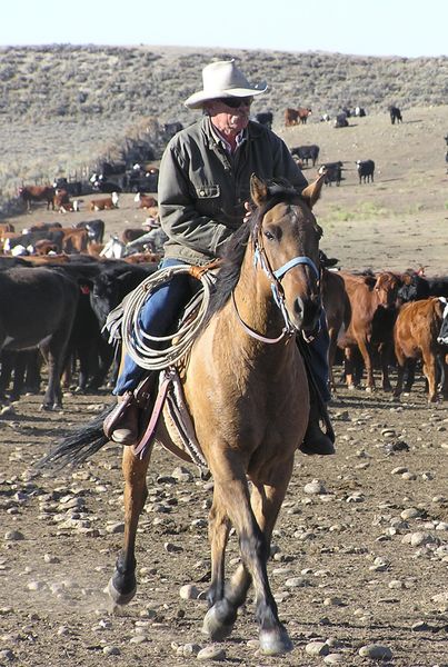 Richard Hulen. Photo by Pinedale Online.