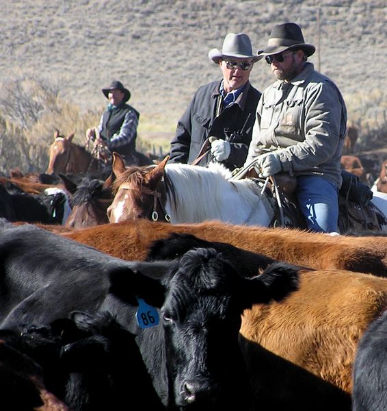 Dino Stauffer, Charles Price and Albert Sommers. Photo by Pinedale Online.