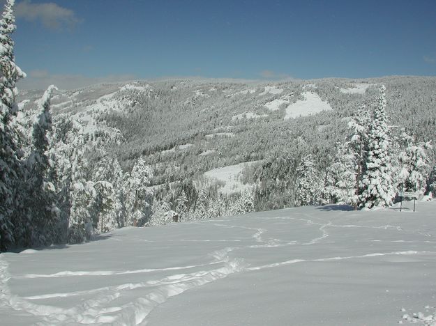 Fresh Snow. Photo by Pinedale Online.