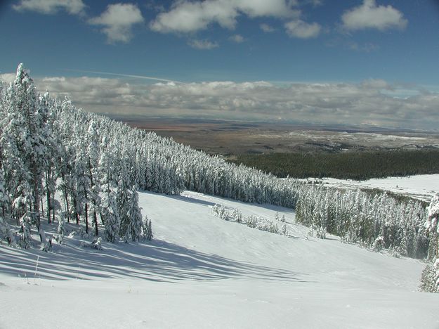 White Pine Snow. Photo by Pinedale Online.