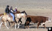 Solon, Julie and Nicole make it three to one. Photo by Pinedale Online.