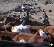 Richard looks for another as Dino Stauffer holds the herd. Photo by Pinedale Online.