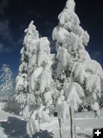 Heavy Snow. Photo by Pinedale Online.