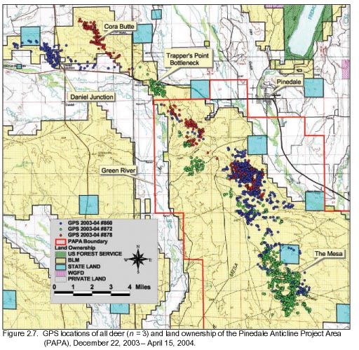 All Mesa Deer Locations. Photo by .