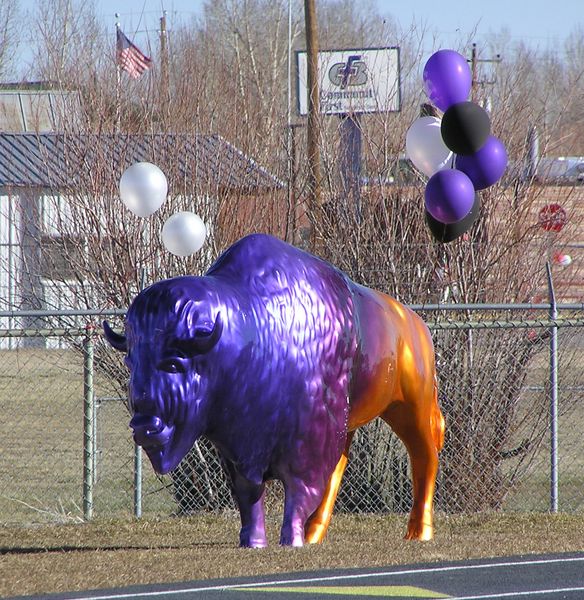 Buffalo mascot. Photo by Pinedale Online.