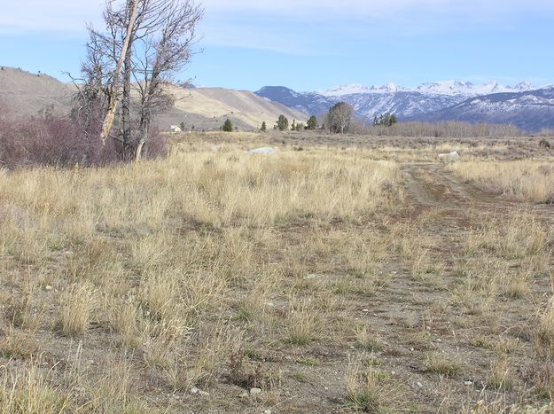 Trails by Fremont Lake. Photo by Pinedale Online.