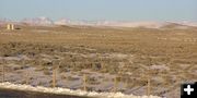 Large antelope herd. Photo by Pinedale Online.