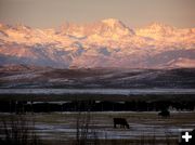 Fremont Peak Alpenglow. Photo by Dawn Ballou.