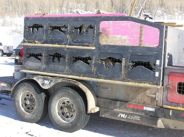 Dog trailer. Photo by Dawn Ballou, Pinedale Online.