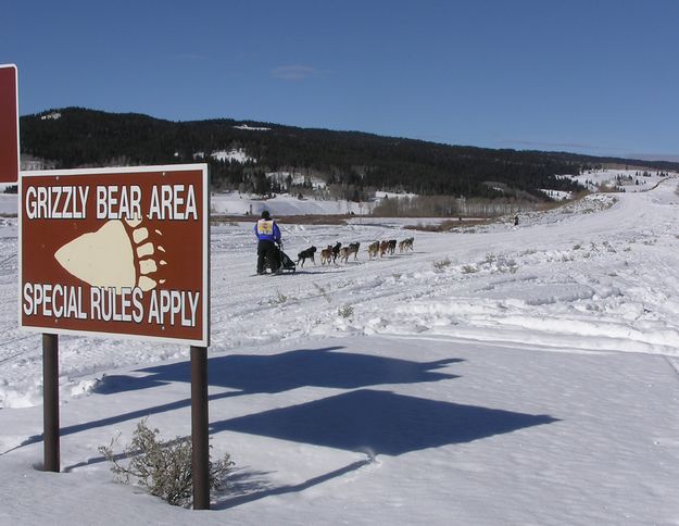 Grizzly bear area. Photo by Dawn Ballou, Pinedale Online.