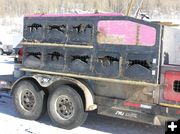 Dog trailer. Photo by Dawn Ballou, Pinedale Online.