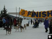 Sled Dog Race. Photo by Clint Gilchrist, Pinedale Online.