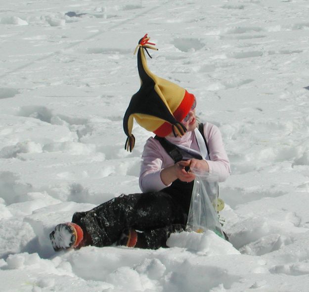 Sitting in the snow. Photo by Pinedale Online.