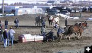 8000 Pounds Final Pull. Photo by Pinedale Online.