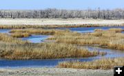 Marshes. Photo by Pinedale Online.