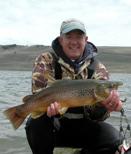 Bill's Big Brown. Photo by Pinedale Online.