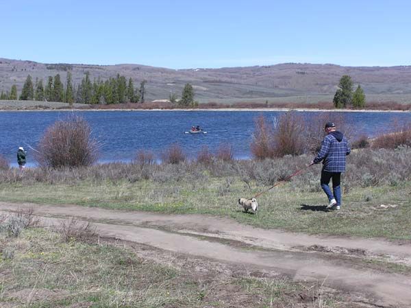 Dog Day at Dollar Lake. Photo by Pinedale Online.