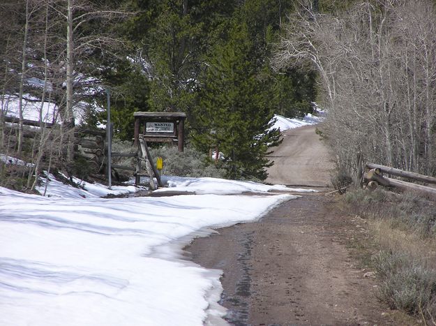 North Cottonwood Road. Photo by Pinedale Online.