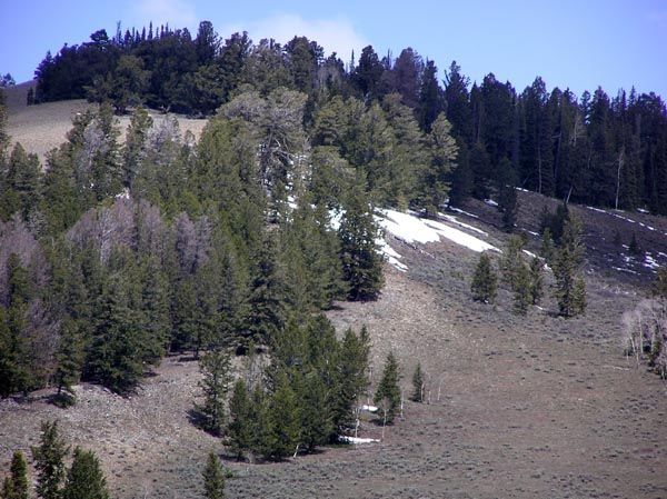 Snow coming off high. Photo by Pinedale Online.