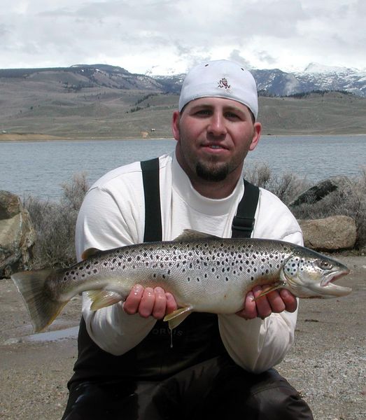 Tyson's Big Brown. Photo by Pinedale Online.