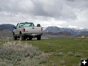 Green Grass, White Tops. Photo by Pinedale Online.