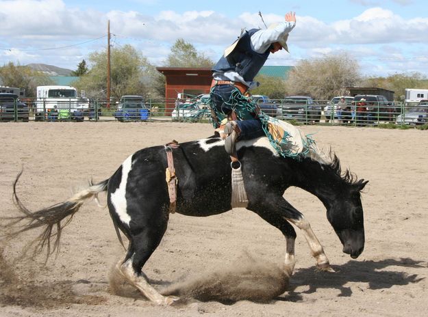 Bareback Rider. Photo by Pinedale Online.