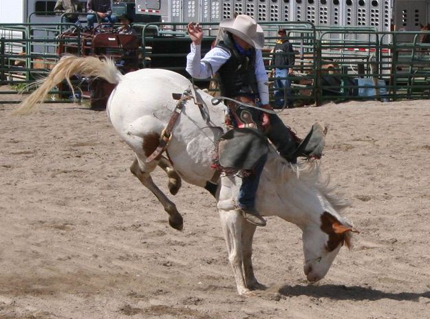 Bareback Rider. Photo by Pinedale Online.