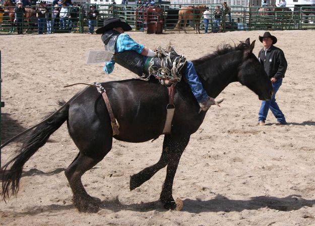 Bareback Rider. Photo by Pinedale Online.
