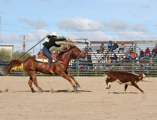 Break away roping. Photo by Pinedale Online.