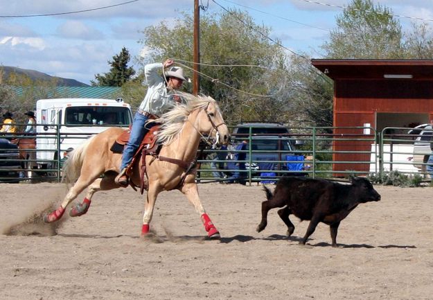 Break away roping. Photo by Pinedale Online.