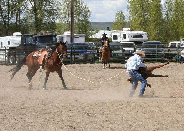 Calf Roper. Photo by Pinedale Online.