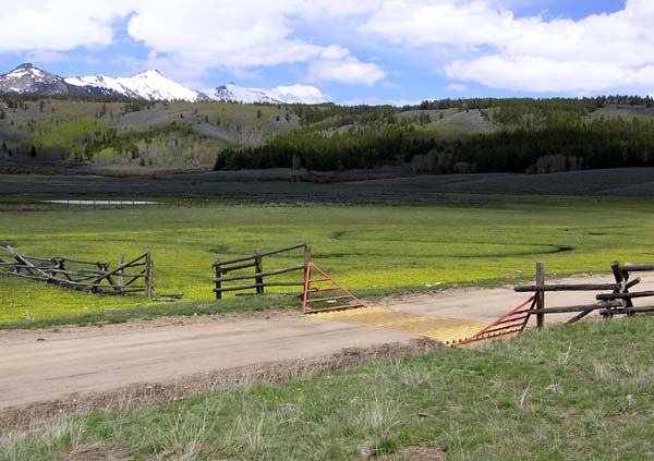 Cattle Guard. Photo by Pinedale Online.