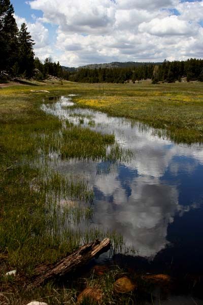 Cloud Reflections in Ponds. Photo by Pinedale Online.