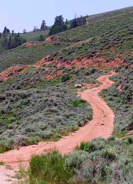 Windy ZigZag Road. Photo by Pinedale Online.