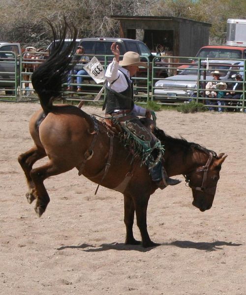 Saddle Bronc Ride. Photo by Pinedale Online.