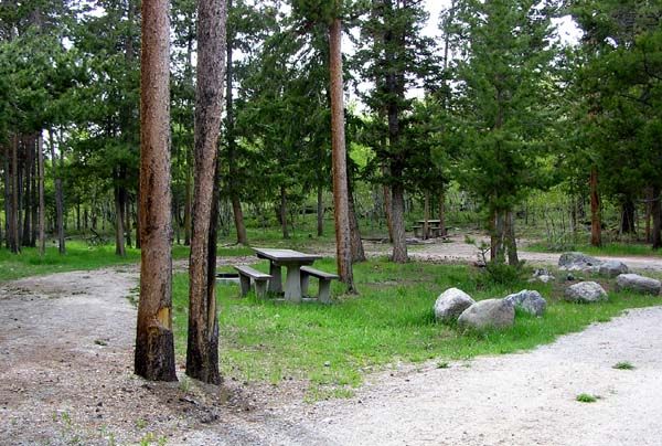 Scab Creek Camp Site. Photo by Pinedale Online.