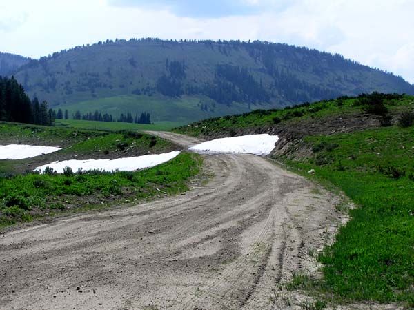 Snow at LaBarge Meadows. Photo by Pinedale Online.