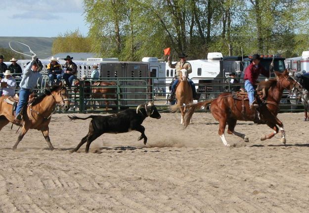 Team Roping. Photo by Pinedale Online.