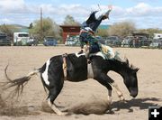 Bareback Rider. Photo by Pinedale Online.