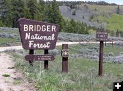 Forest Boundary sign. Photo by Pinedale Online.