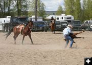 Calf Roper. Photo by Pinedale Online.