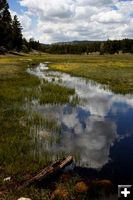 Cloud Reflections in Ponds. Photo by Pinedale Online.