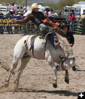 Saddle Bronc Rider. Photo by Pinedale Online.