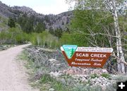 Scab Creek Campground. Photo by Pinedale Online.