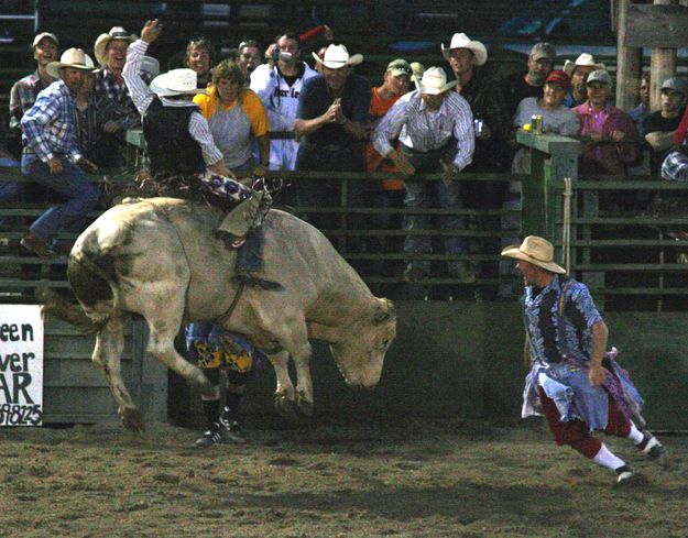 Bull Riding. Photo by Pinedale Online.